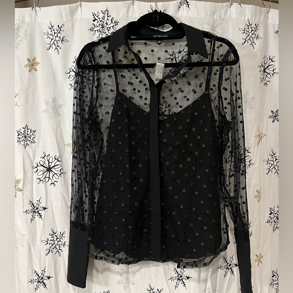 J. Crew Sheer Polka Dot Blouse